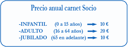 junta directiva
